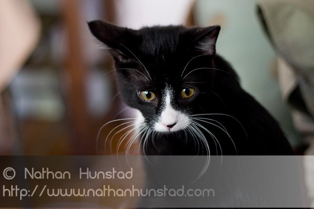 Misha_2008-08-06_IMG_1015